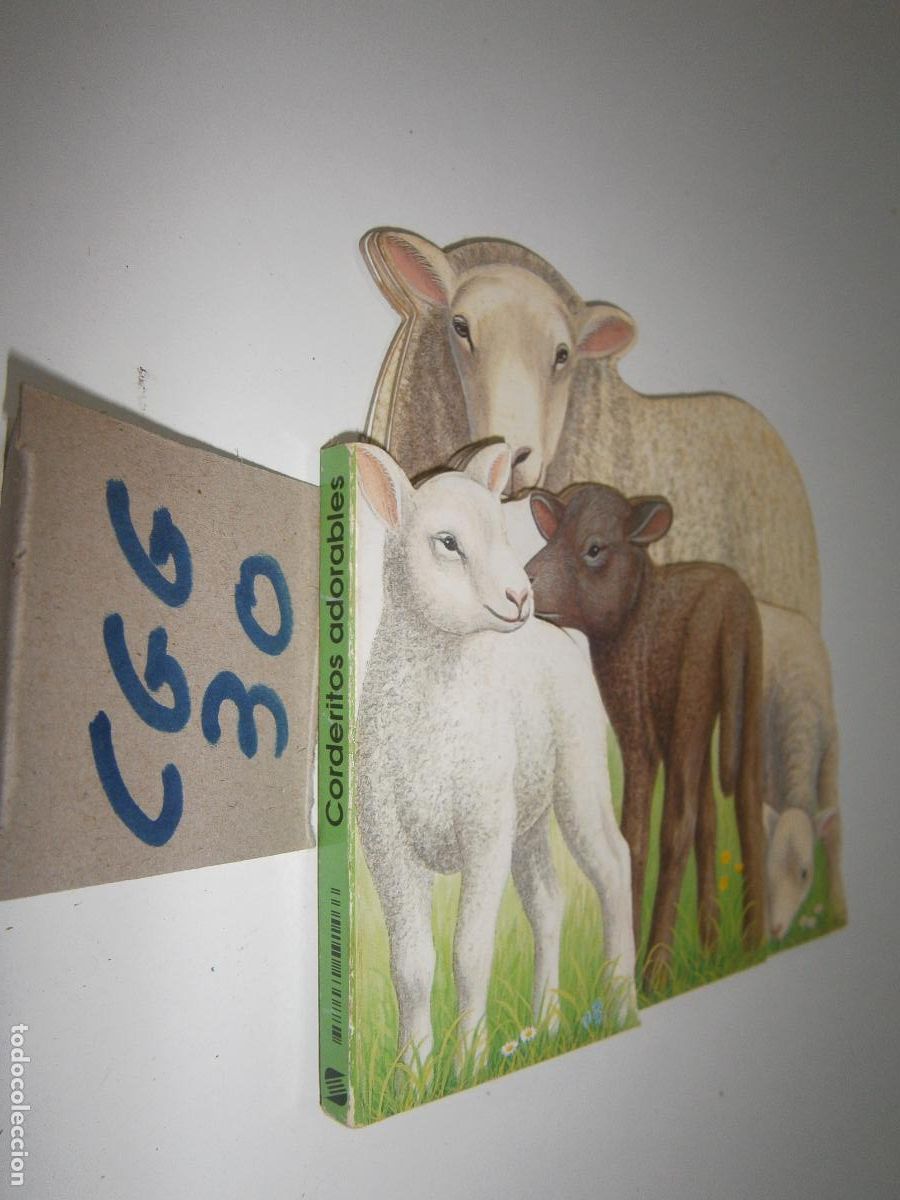 Libros de segunda mano: CUENTO - CORDERITOS ADORABLES - Foto 1