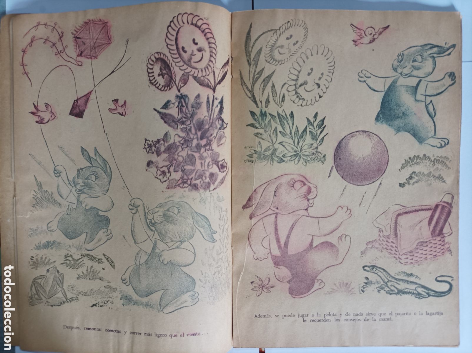Libros de segunda mano: LOS DISTINGUIDOS CONEJOS. PINTALAGUA. CODEX. - Foto 4