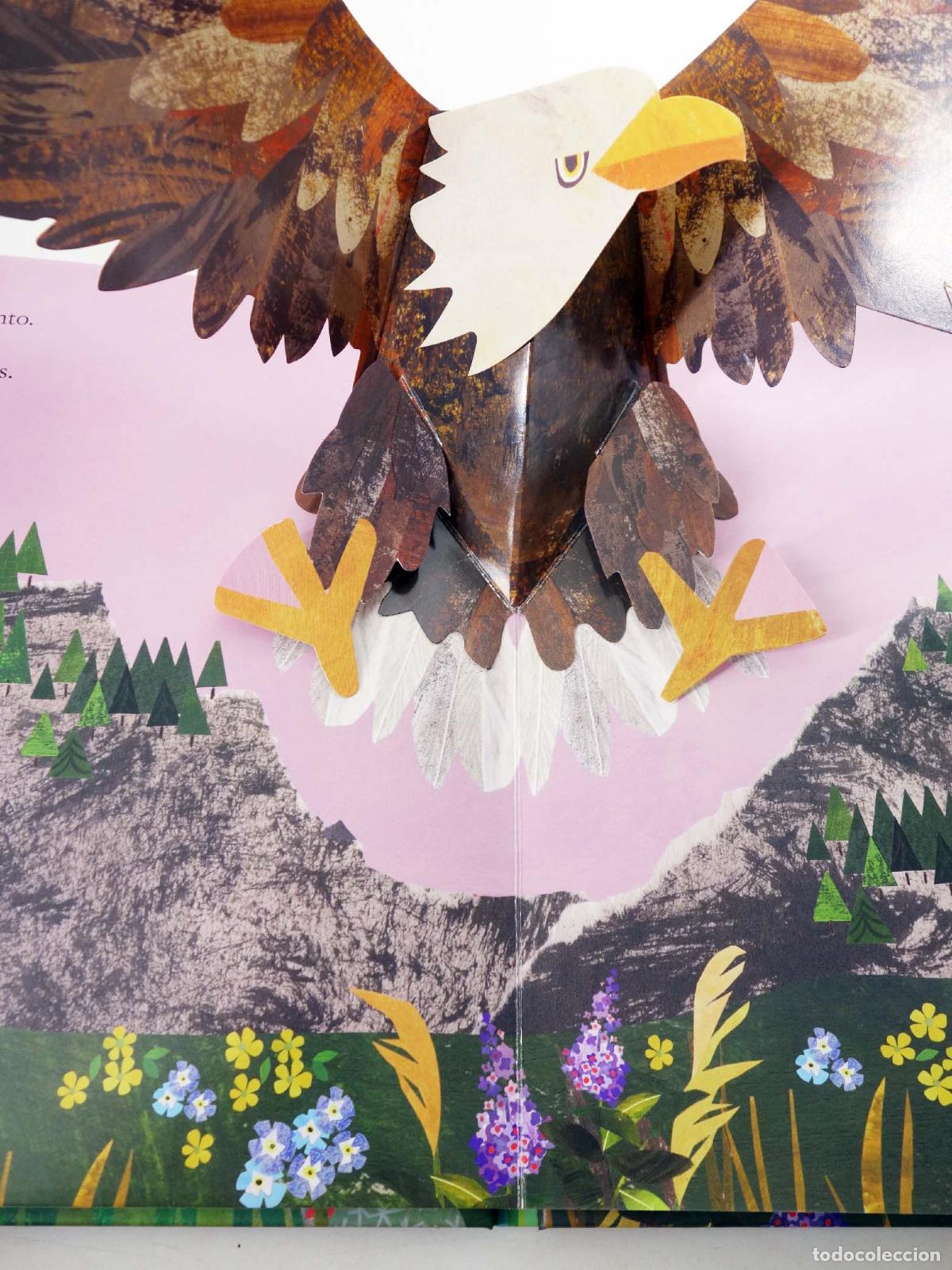 Libros de segunda mano: SOBRE LA MONTA&Ntilde;A. POP-UP (Clover Robin) Ideaka, 2018. OFRT - Foto 4