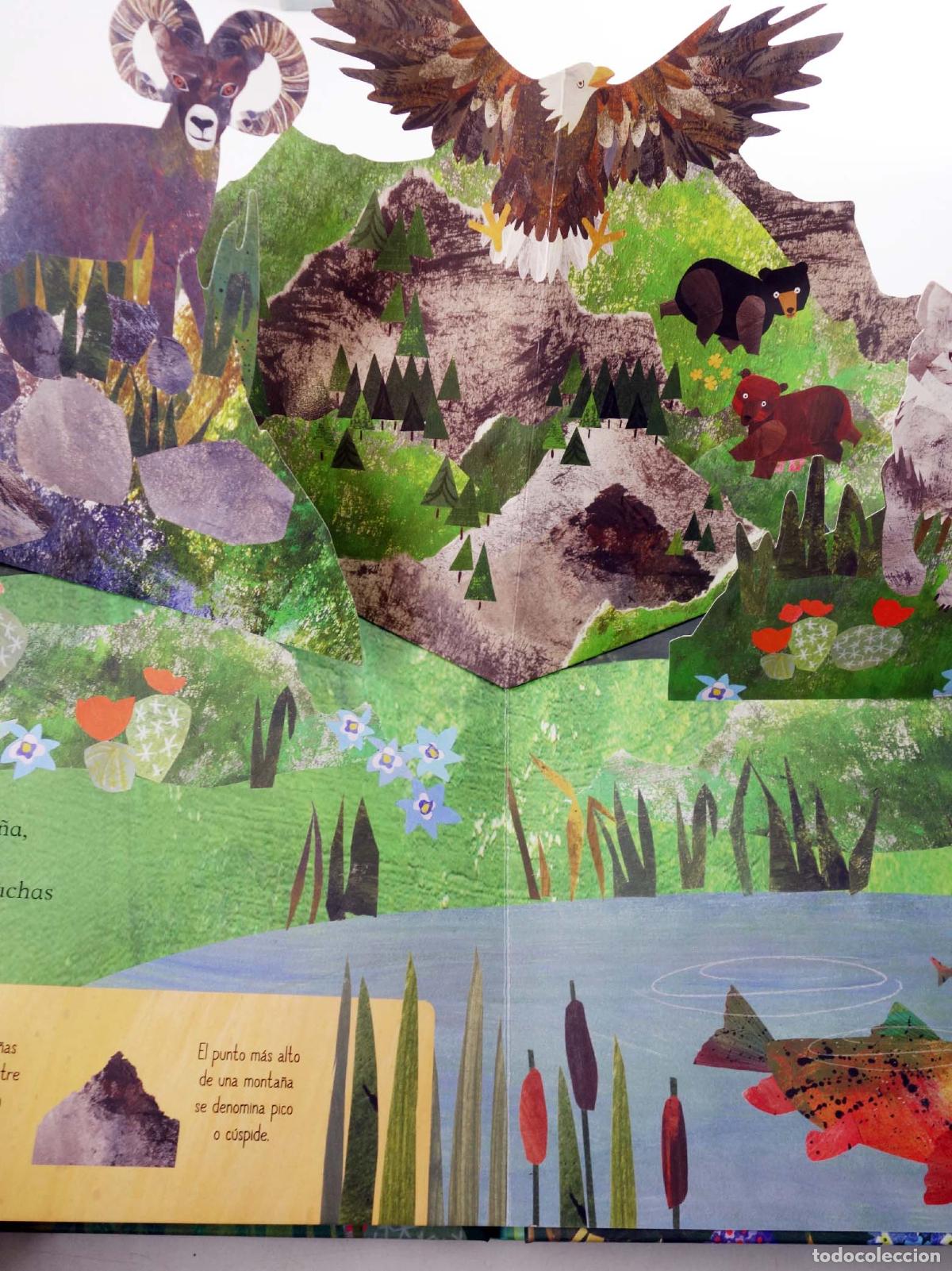 Libros de segunda mano: SOBRE LA MONTA&Ntilde;A. POP-UP (Clover Robin) Ideaka, 2018. OFRT - Foto 5