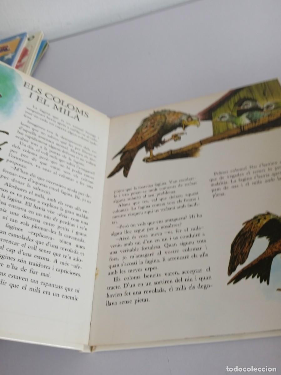 Libros de segunda mano: ELS 7 CONTES DE LA SETMANA Tomo 1 - Foto 5