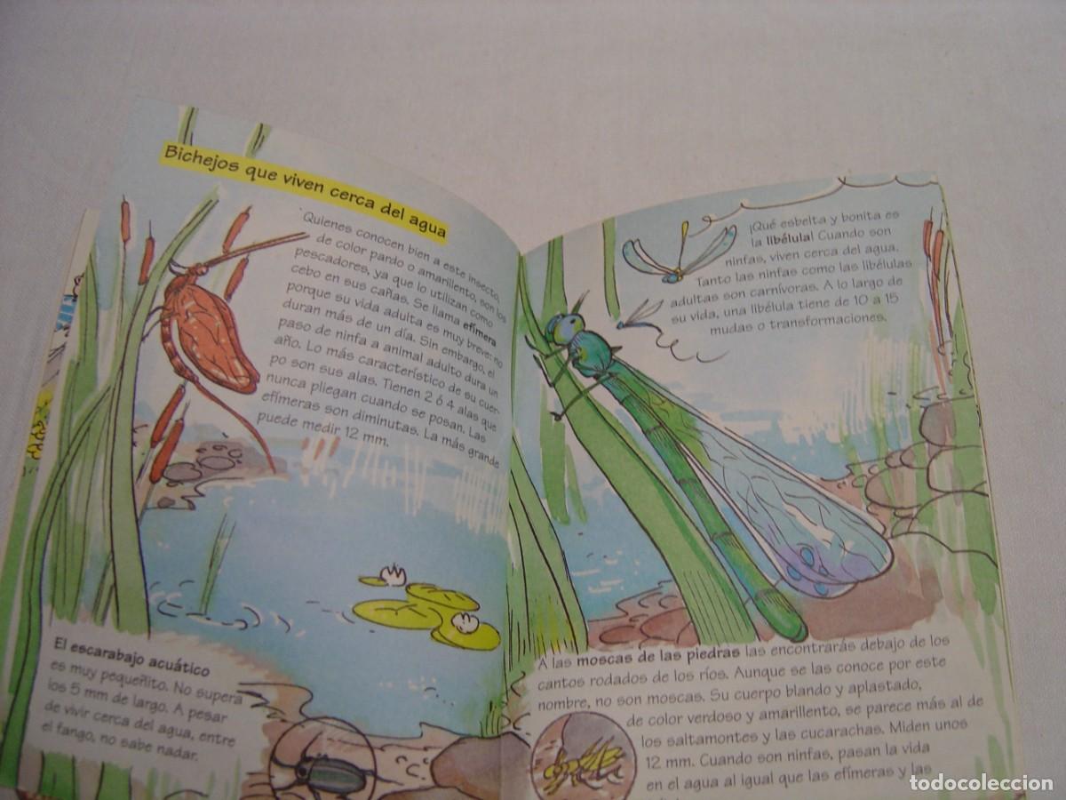Libros de segunda mano: BICHOS, BICHARRACOS Y BICHEJOS - DIMICOCOS DE ALTEA 1996 - Foto 5