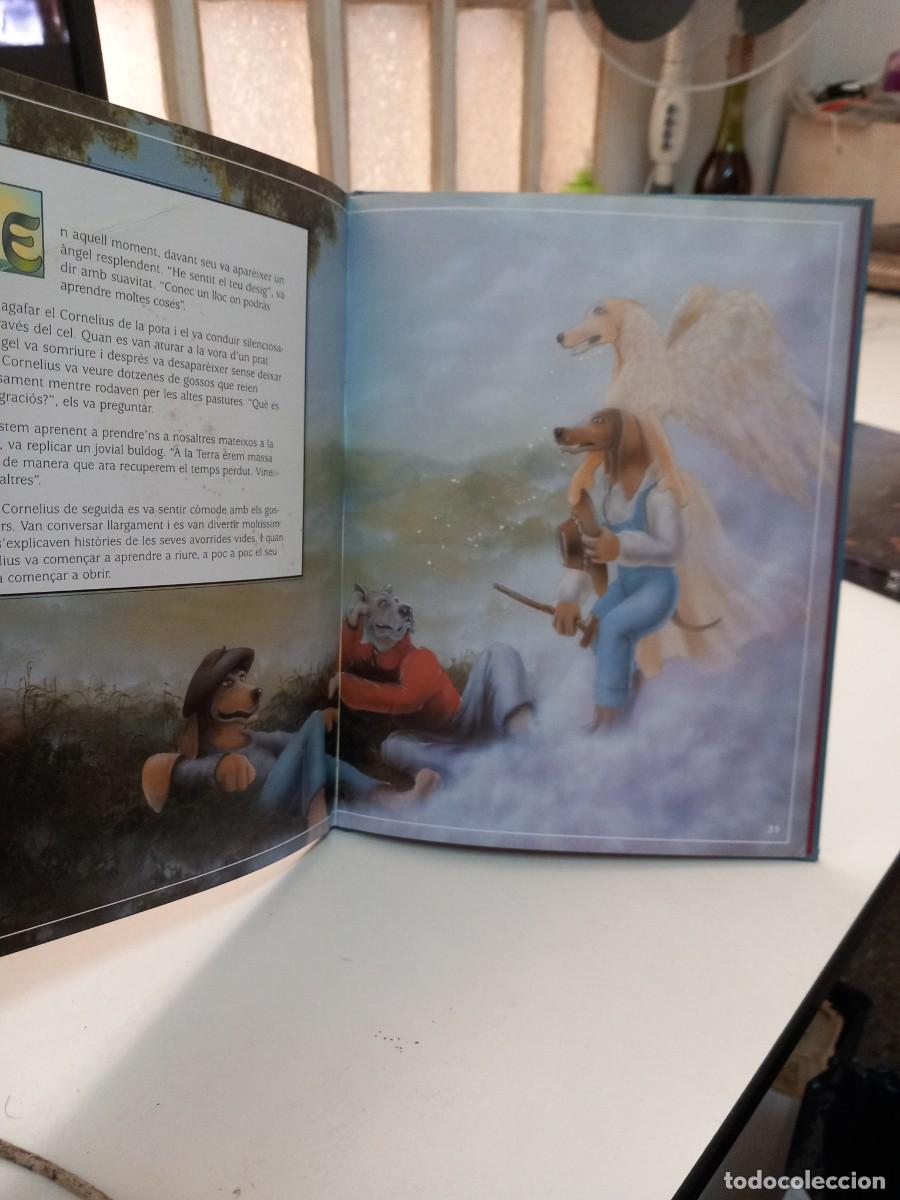 Libros de segunda mano: Cornelius i lestel gos - Diana Spyropulus - Foto 4
