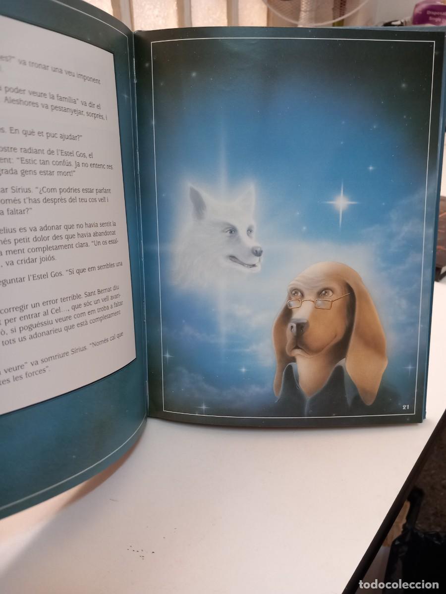 Libros de segunda mano: Cornelius i lestel gos - Diana Spyropulus - Foto 5
