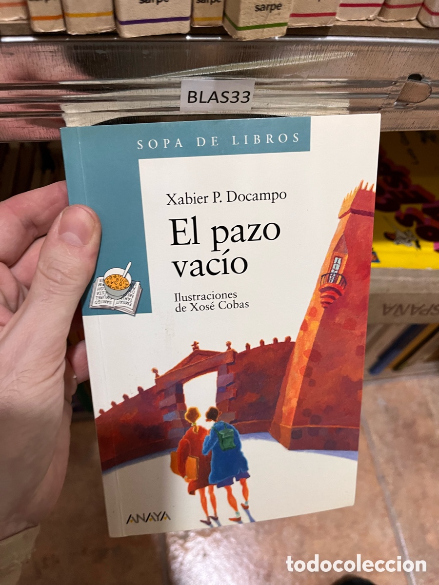 Libros de segunda mano: BLAS33 SOPA DE LIBROS OOLNYS Xabier P. Docampo El pazo vacio Ilustraciones de Xos&eacute; Cobas
