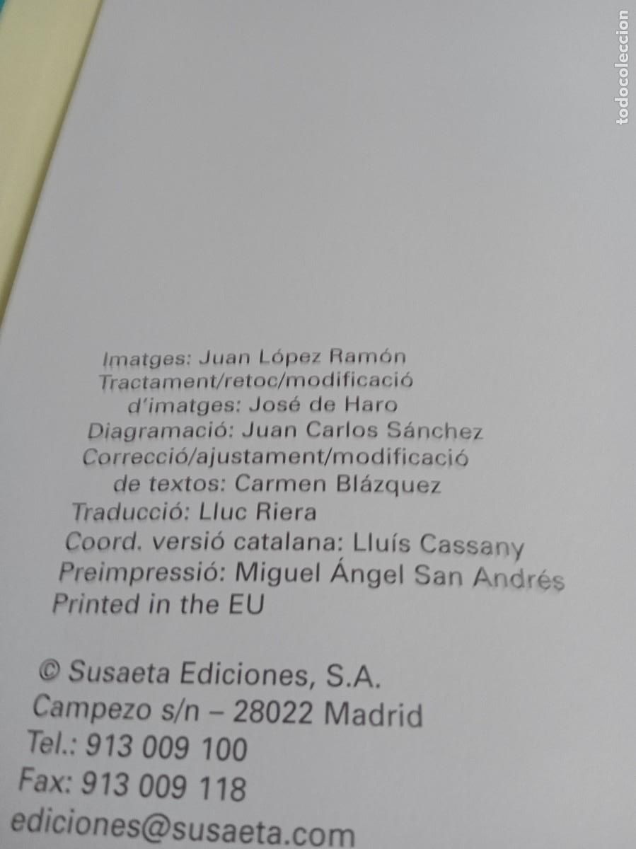 Libros de segunda mano: EL MILLORS 365 CONTES Susaeta - Foto 5