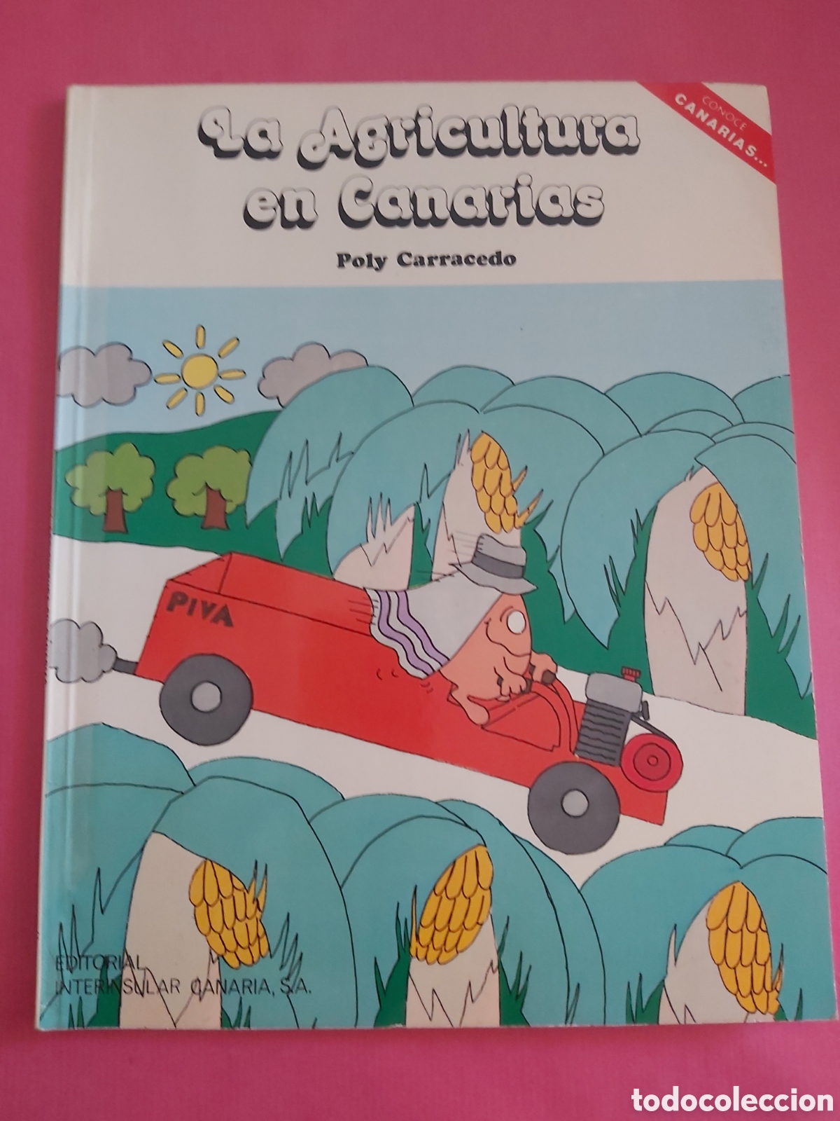 Libros de segunda mano: 3 LIBROS CONOCE CANARIAS POLY CARRACEDO EDITORIAL INTERINSULAR CANARIA 1981 - Foto 11