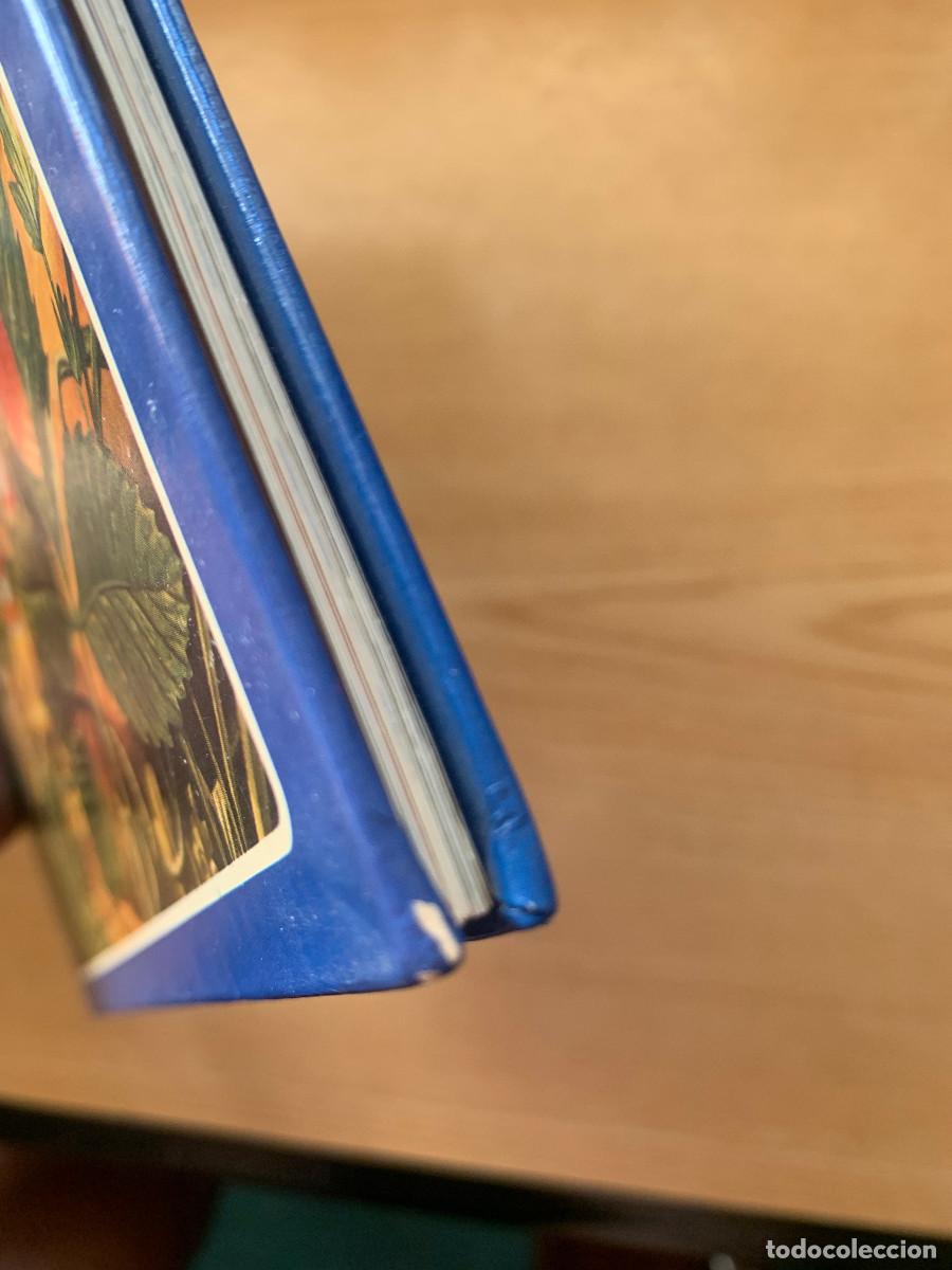 Libros de segunda mano: Historias del Bosque y de Gnomos 2 - Tony Wolf - Foto 3