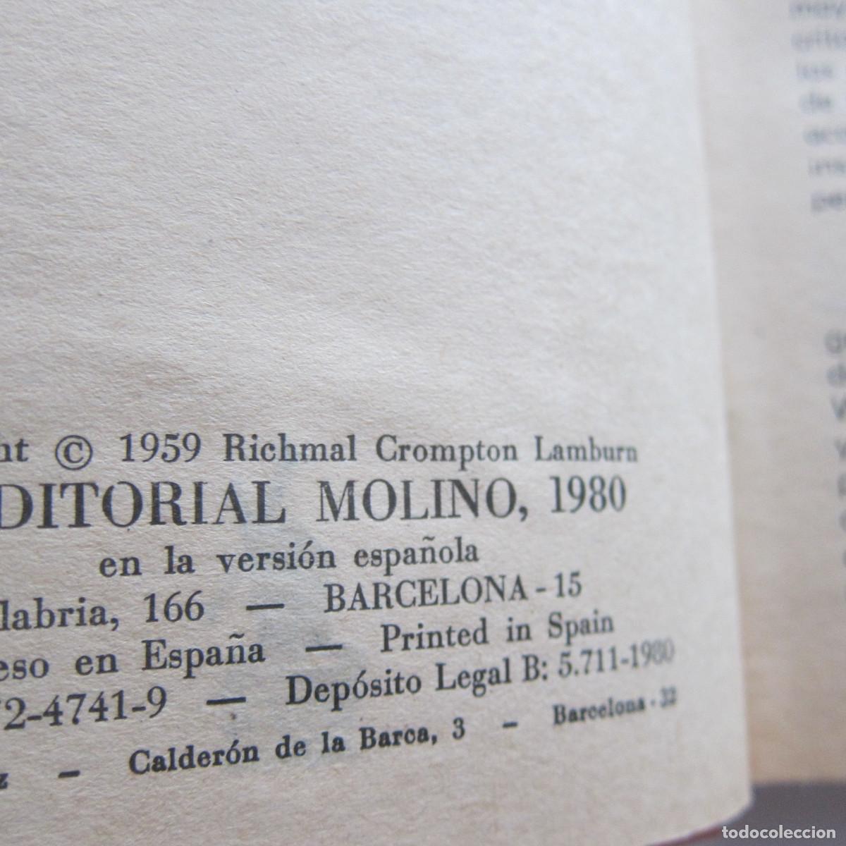 Libros de segunda mano: GUILLERMO EL PIRATA - RICHMAL CROMPTON (MOLINO) INFANTIL - Foto 3