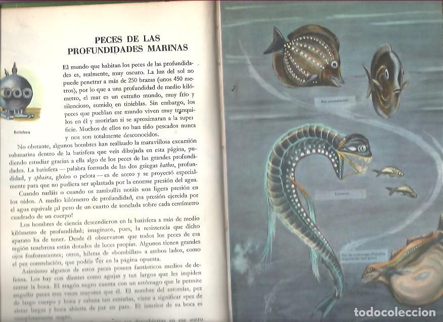 Libros de segunda mano: MI UNIVERSO LOS PECES TIMUN MAS - Foto 2