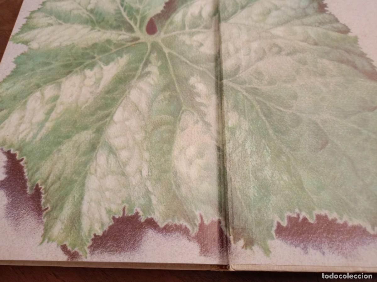 Libros de segunda mano: CUENTOS DEL RIO AMUR - Foto 5