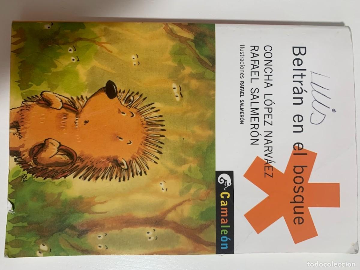 Libros de segunda mano: Beltr&aacute;n en el bosque, VVAA. - Foto 1
