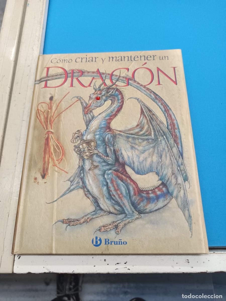 Libros de segunda mano: COMO CRIAR Y MANTENER UN DARGON EDITORIAL BRU&Ntilde;O - Foto 1