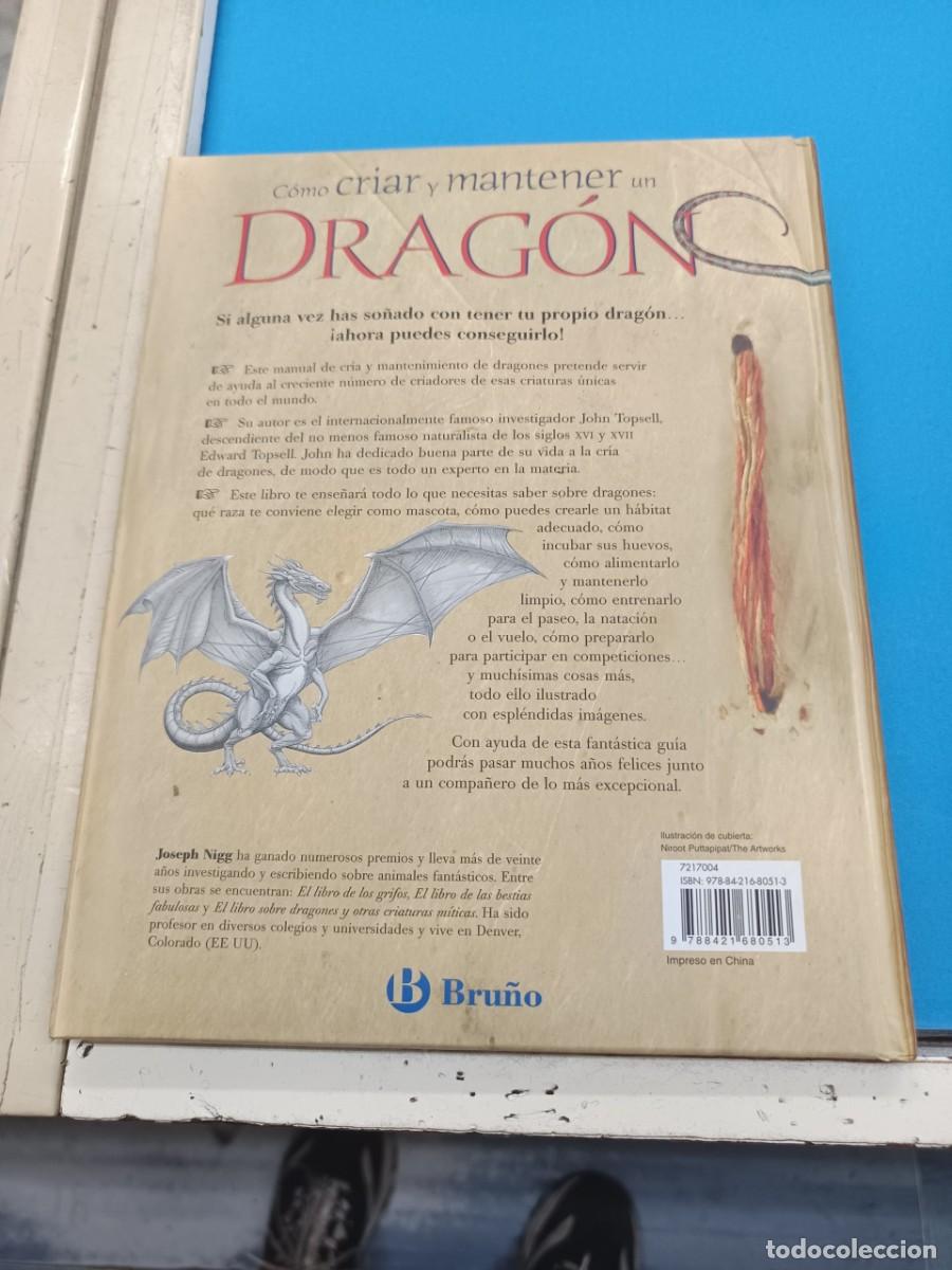 Libros de segunda mano: COMO CRIAR Y MANTENER UN DARGON EDITORIAL BRU&Ntilde;O - Foto 2