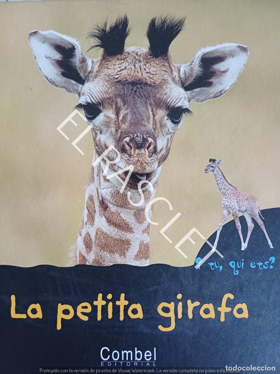 Libros de segunda mano: LA PETITA GIRAFA - EDITORIAL COMBEL - EN CATLAN - Foto 1