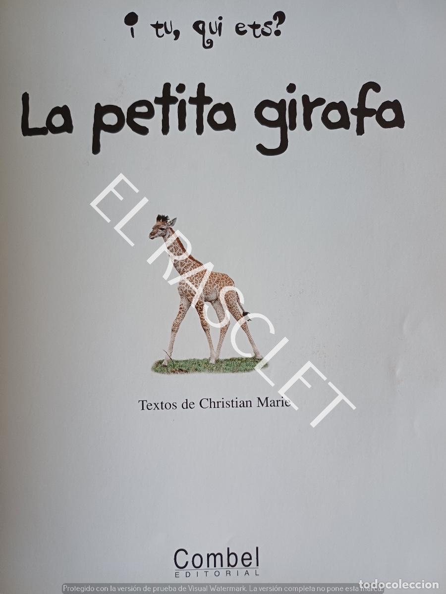 Libros de segunda mano: LA PETITA GIRAFA - EDITORIAL COMBEL - EN CATLAN - Foto 3