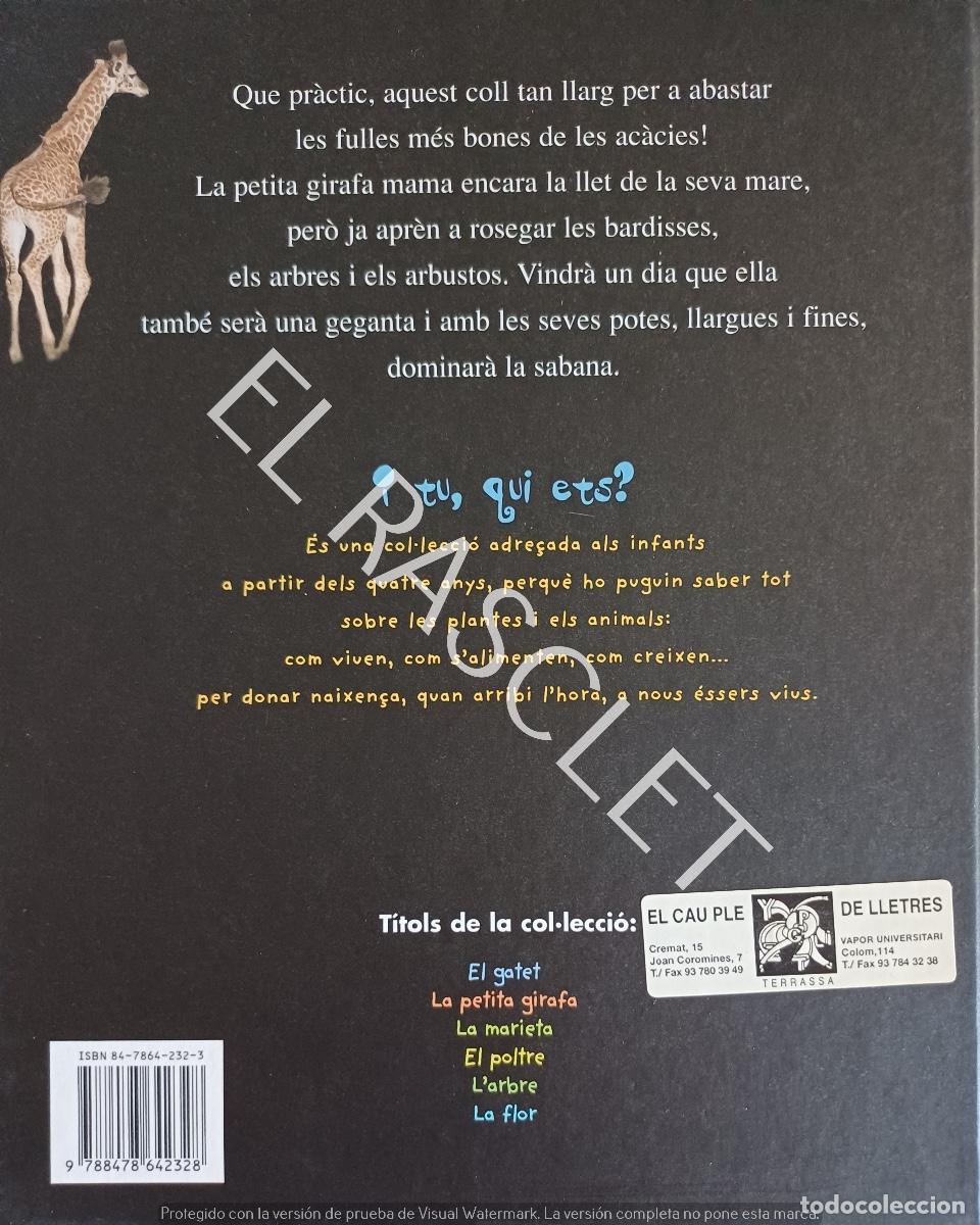 Libros de segunda mano: LA PETITA GIRAFA - EDITORIAL COMBEL - EN CATLAN - Foto 4