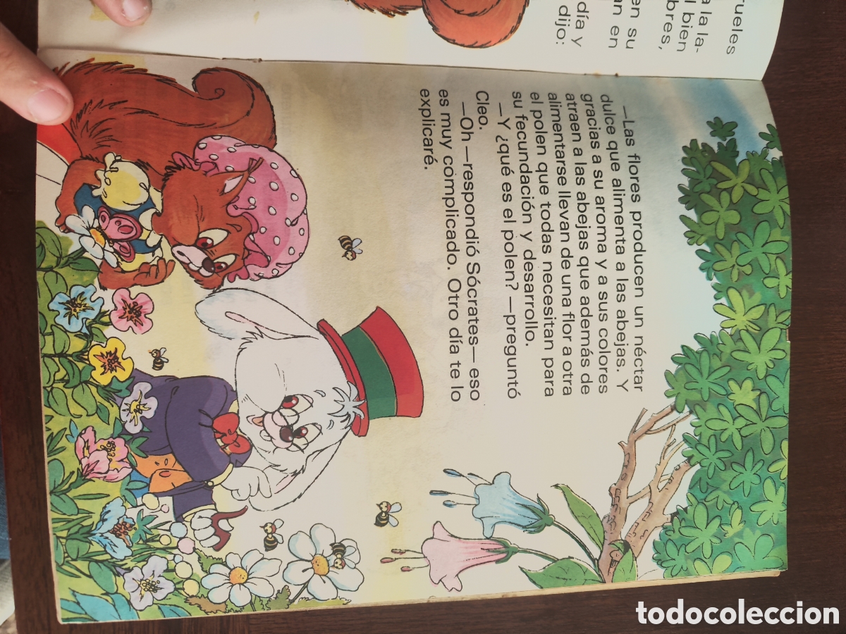 Libros de segunda mano: C&oacute;mo se hace la miel 1985 reimpresi&oacute;n - Foto 8