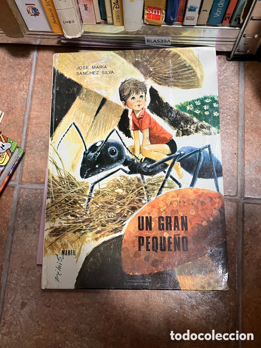 Gebrauchte B&uuml;cher: Blas39A Un gran peque&ntilde;o. Jos&eacute; Mar&iacute;a S&aacute;nchez Silva