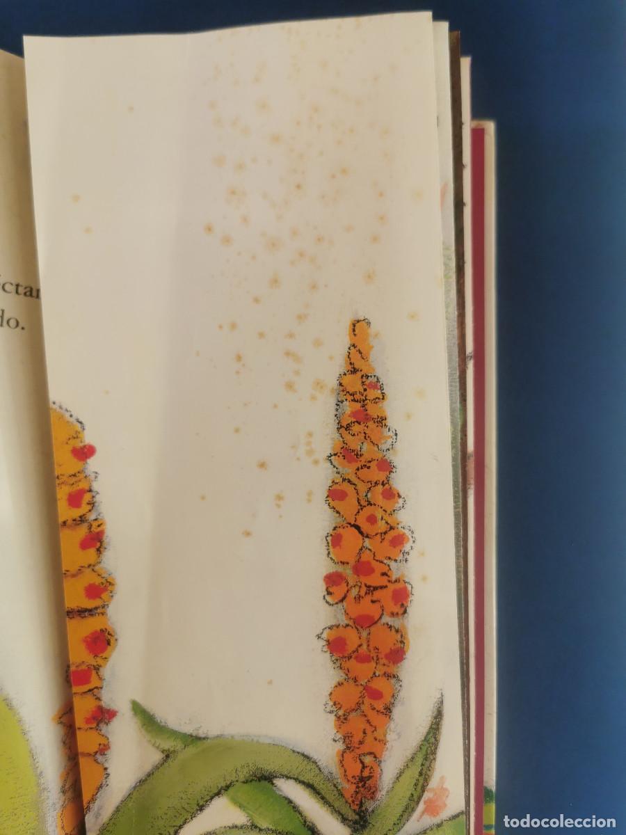 Libros de segunda mano: Cu-cu. Tras-tras! A comer. Svjetlan Junakovic. - Foto 5