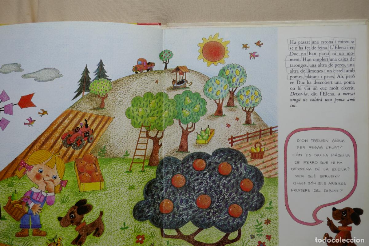 Libros de segunda mano: Cuento Elena recull fruites - Foto 9