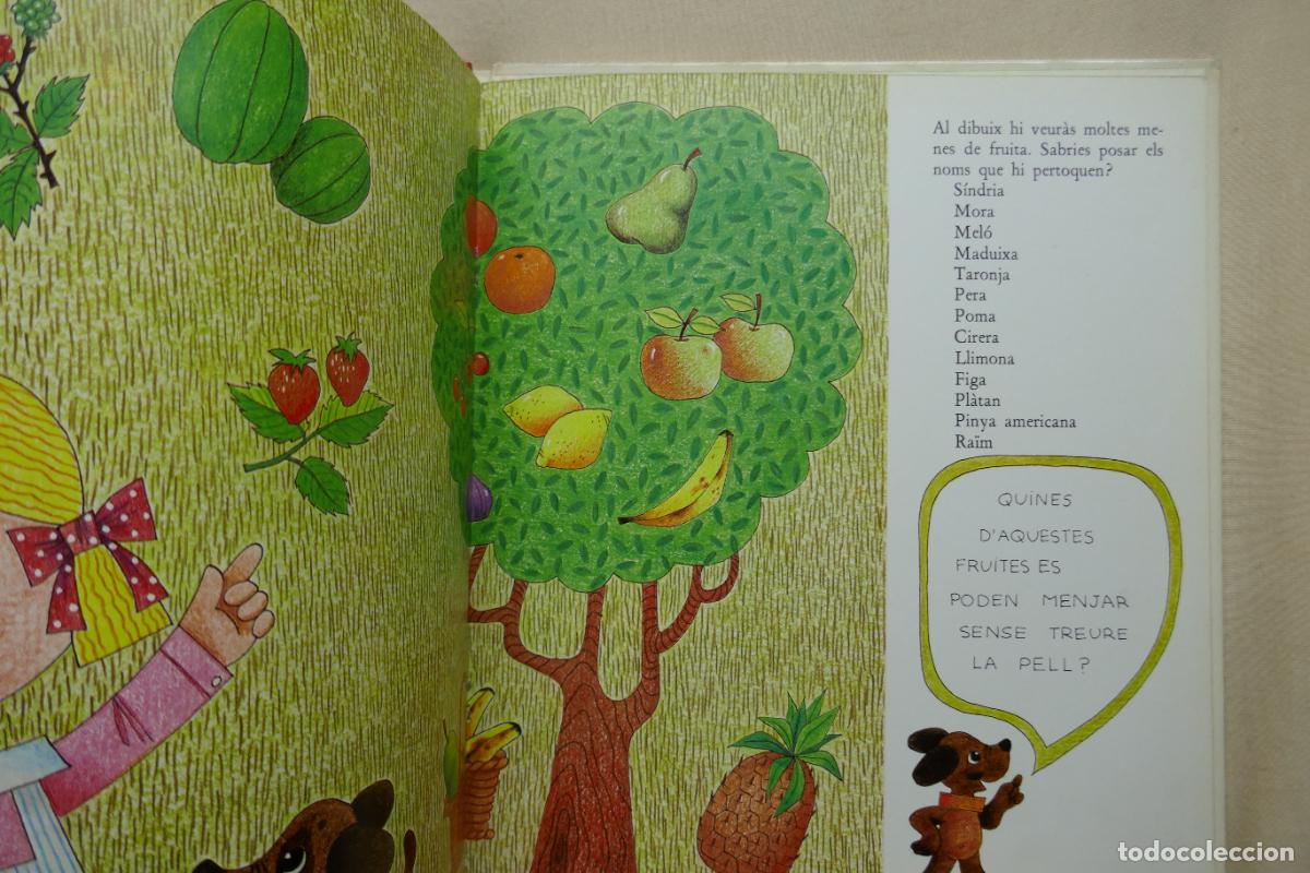 Libros de segunda mano: Cuento Elena recull fruites - Foto 15