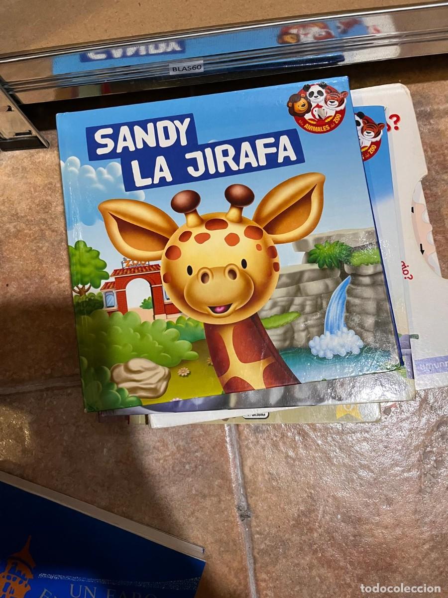 Libri di seconda mano: BLAS60 SANDY LA JIRAFA. LIBRO ILUSTRADO