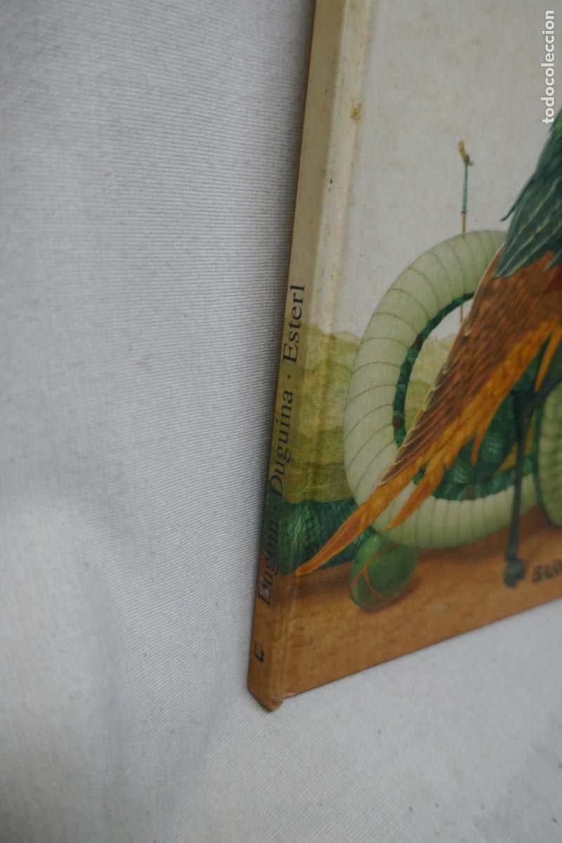 Libros de segunda mano: Les plomes del drac (editorial: Barcanova) - Foto 3