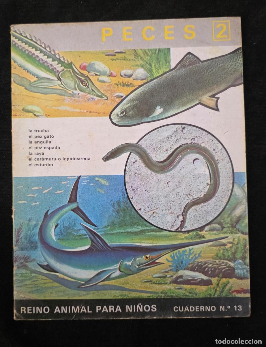 Libri di seconda mano: L.355 Peces 1 &ndash; Libro infantil educativo ilustrado &middot; Reino Animal para Ni&ntilde;os (1985)