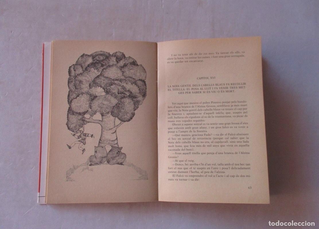 Libros de segunda mano: PINOTXO - CARLO COLLODI - Foto 3