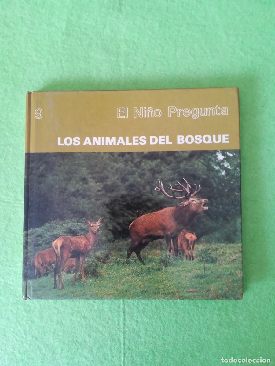 Libros de segunda mano: Los animales del bosque el ni&ntilde;o pregunta ediciones toray 1978 - Foto 1