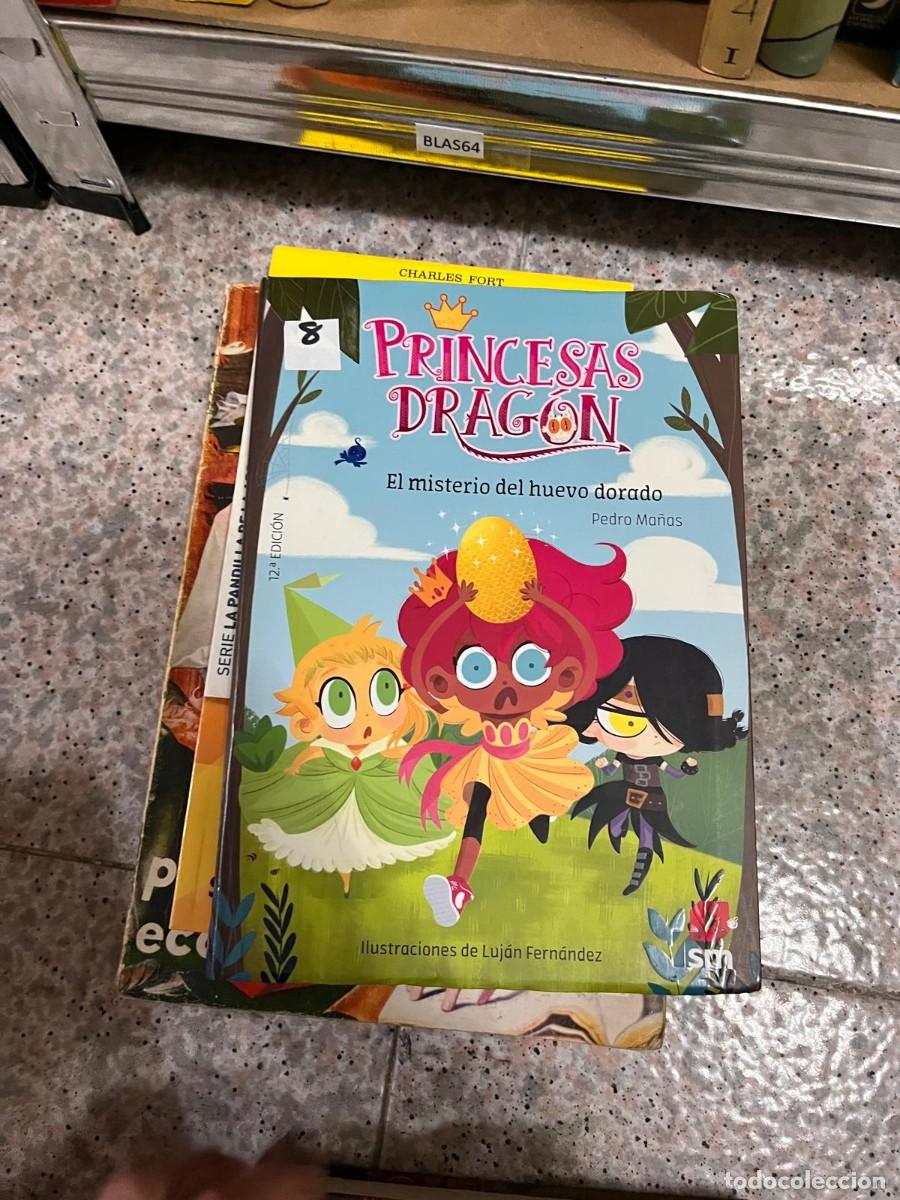 Libri di seconda mano: BLAS64 PRINCESAS DRAGON El misterio del huevo dorado Pedro Ma&ntilde;as Ilustr de Luj&aacute;n Fern&aacute;ndez
