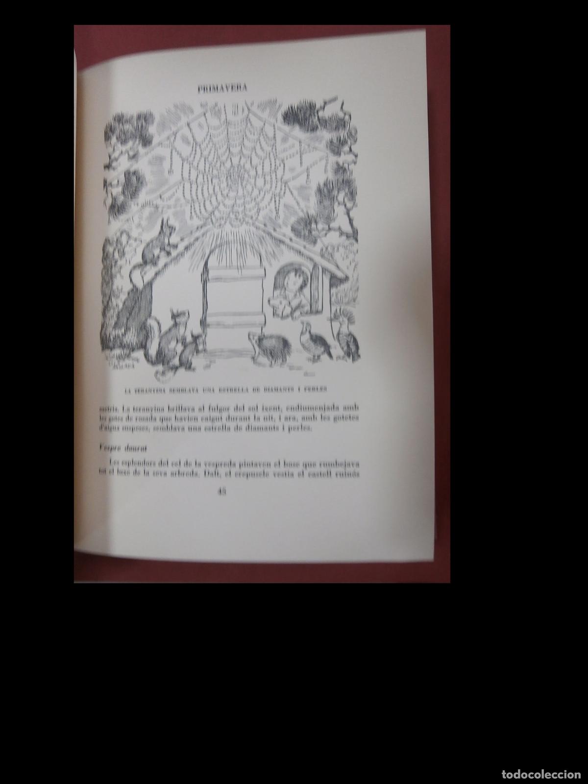 Libros de segunda mano: Martinet. Lola Anglada - Foto 3