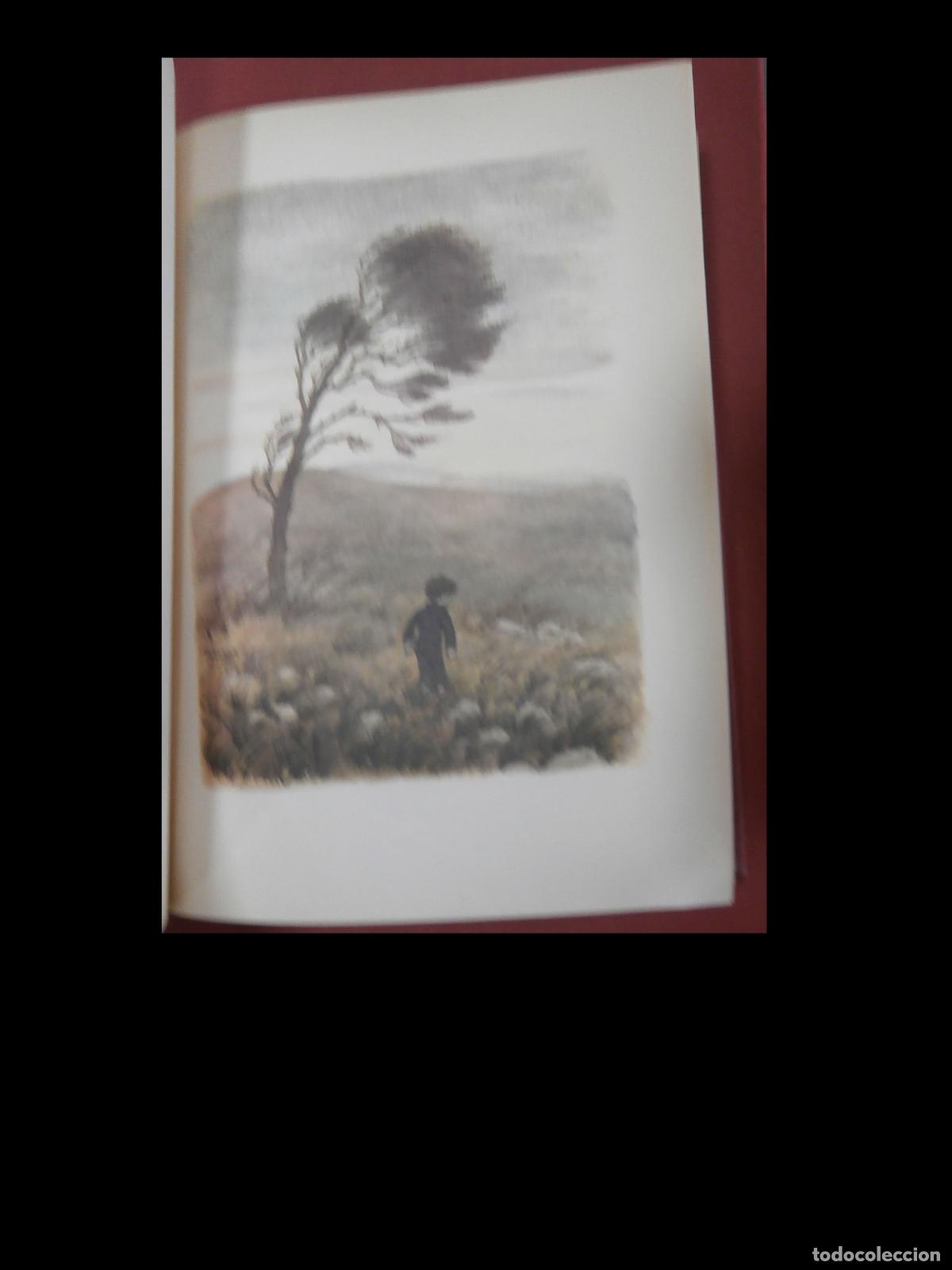 Libros de segunda mano: Martinet. Lola Anglada - Foto 4