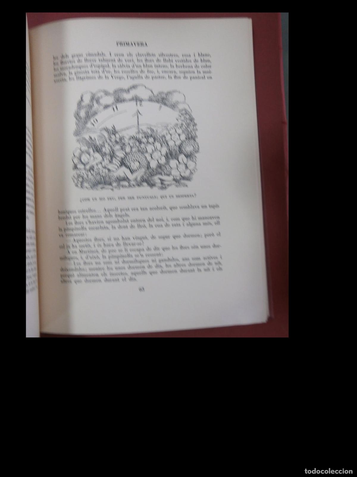 Libros de segunda mano: Martinet. Lola Anglada - Foto 5