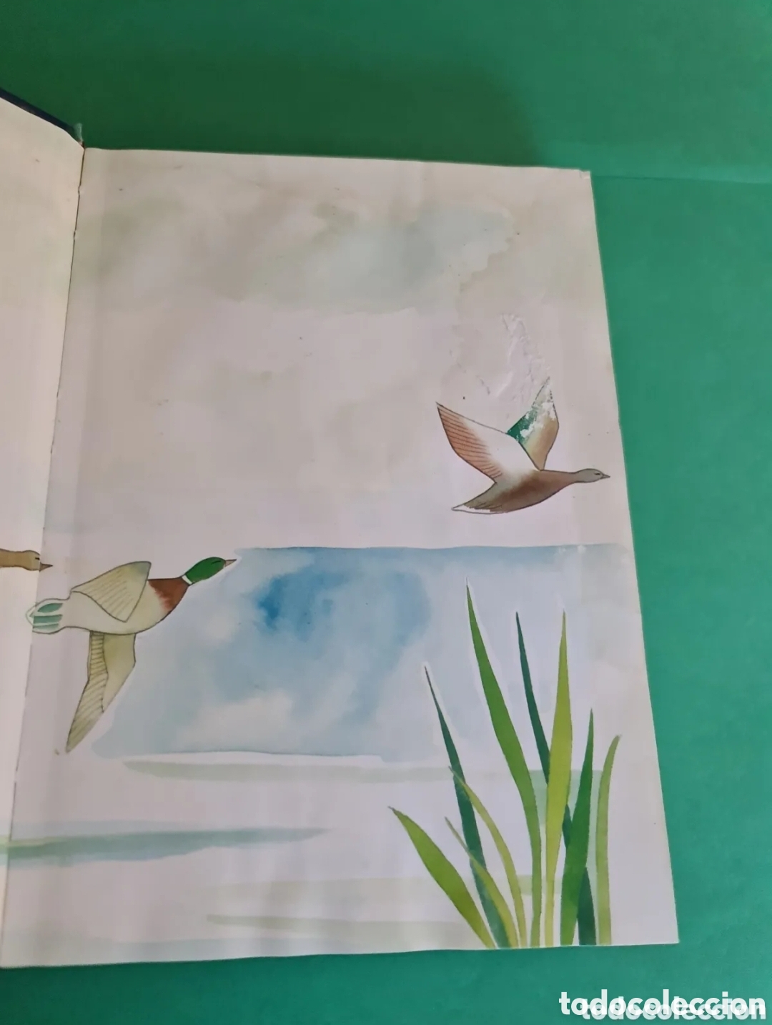 Libros de segunda mano: Libro Cuentos de Andersen. - Foto 3
