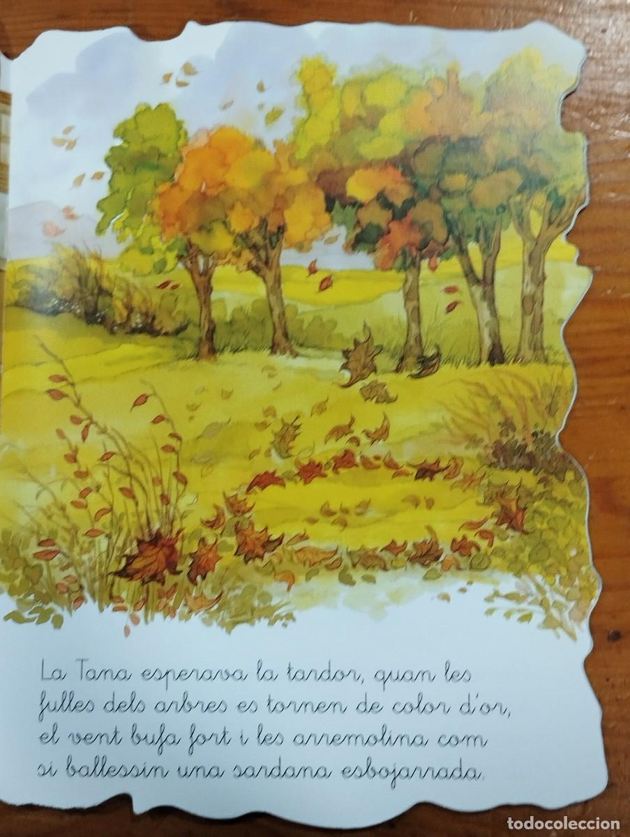 Libros de segunda mano: CUENTO &rdquo;LA CASTANYERA&rdquo;. TROQUELADO. EN CATAL&Aacute;N. - Foto 4