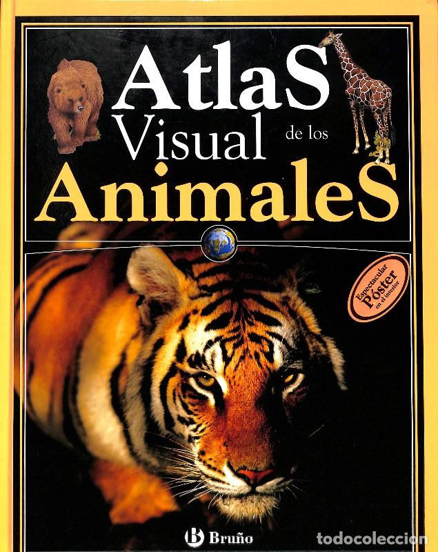 Libros de segunda mano: Atlas visual de los animales - Tylor, Barbara - Editorial Bru&ntilde;o - Atlas Visuales - Foto 1