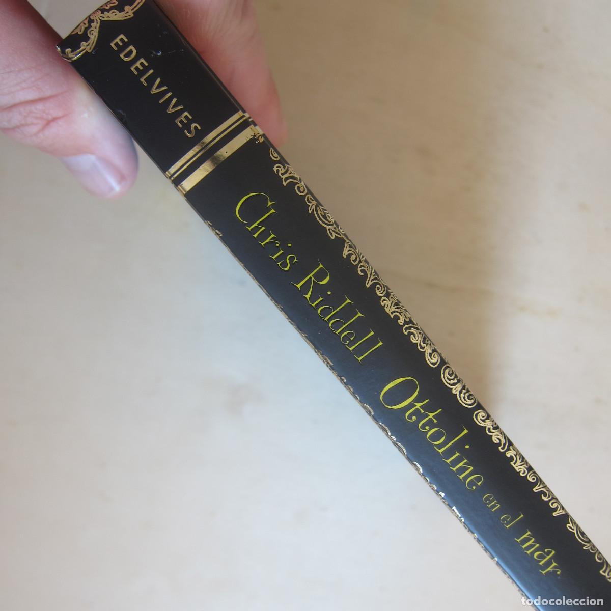 Libros de segunda mano: OTTOLINE EN EL MAR - CHRIS RIDDELL (EDELVIVES) INFANTIL - Foto 2