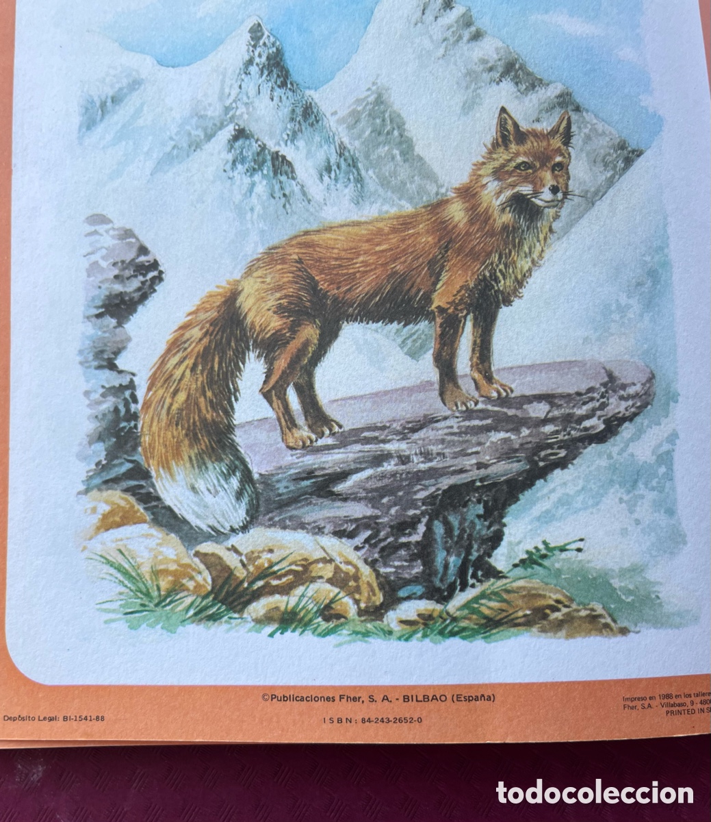 Libros de segunda mano: Libro infantil a&ntilde;os 90 - Foto 5