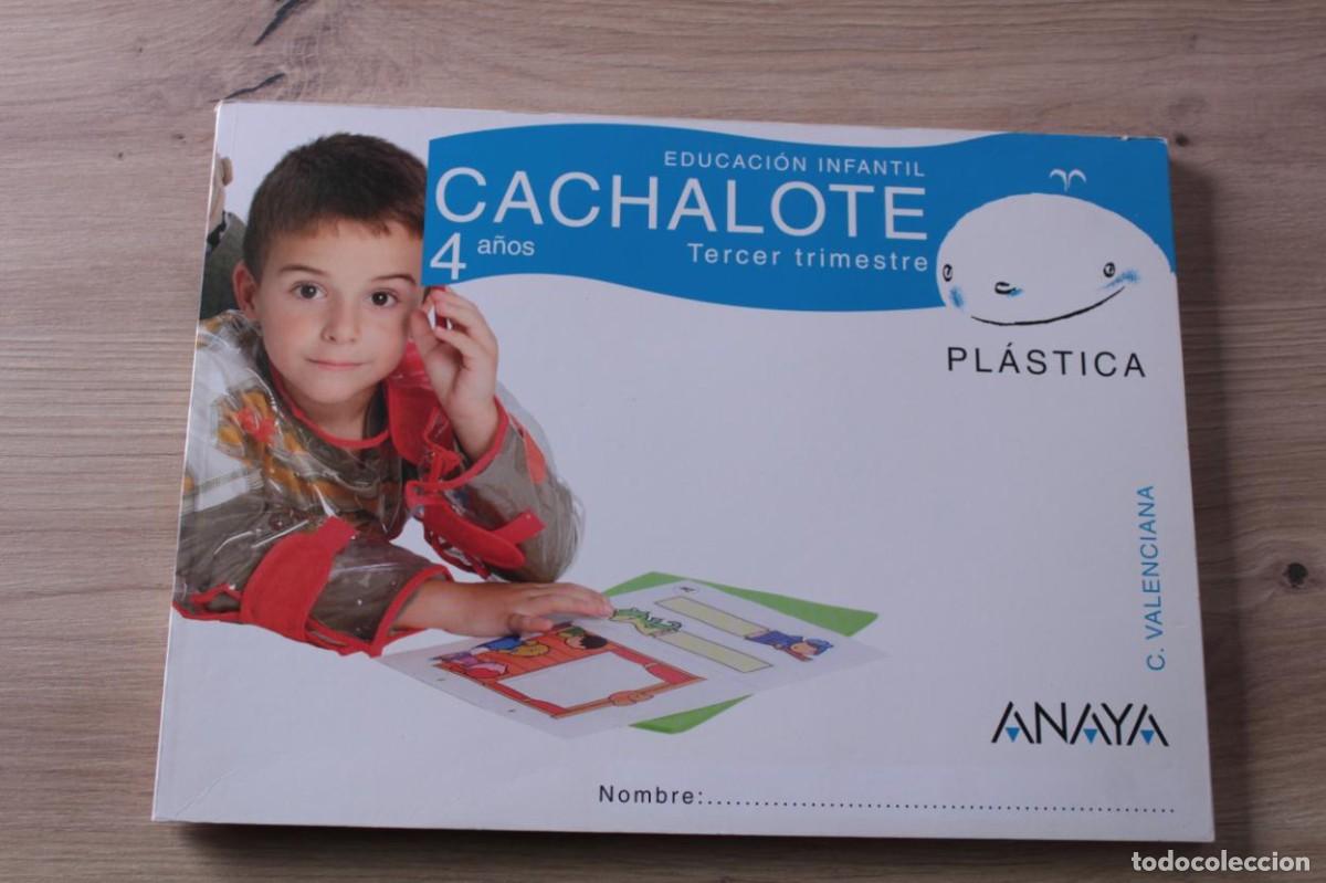 Libros de segunda mano: Cachalote 4 a&ntilde;os Pl&aacute;stica - Foto 1