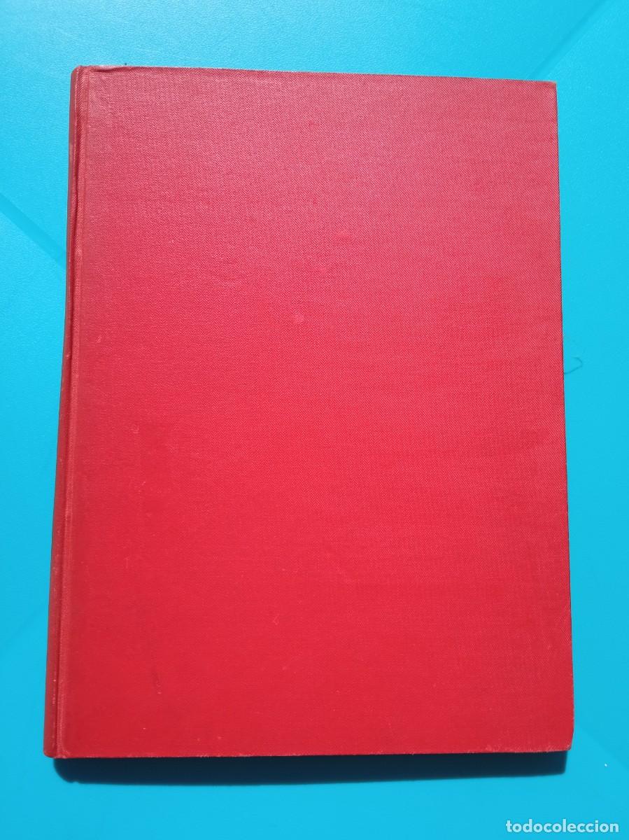 Libros de segunda mano: F&aacute;bula de la burrita Non. Autor: Jos&eacute; Mar&iacute;a S&aacute;nchez Silva - Foto 1