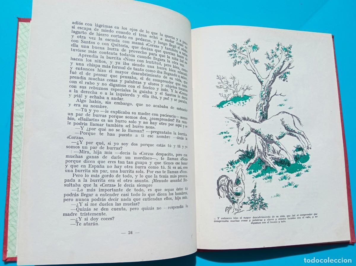 Libros de segunda mano: F&aacute;bula de la burrita Non. Autor: Jos&eacute; Mar&iacute;a S&aacute;nchez Silva - Foto 3