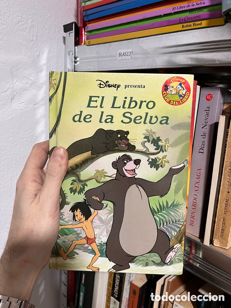 Libros de segunda mano: Blas13 El libro de la selva (Disney) club del libro - Foto 1