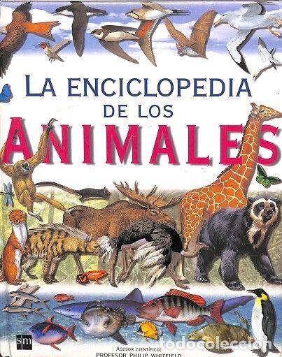 Gebrauchte B&uuml;cher: LA ENCICLOPEDIA DE LOS ANIMALES - WHITFIELD, PHILIP - EDICIONES SM - 2009, 9&ordf; ed.