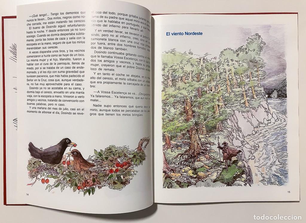 Libros de segunda mano: CUENTOS &rdquo;CHICOS&rdquo; - EDITORIAL EVEREST 1983 - Foto 4