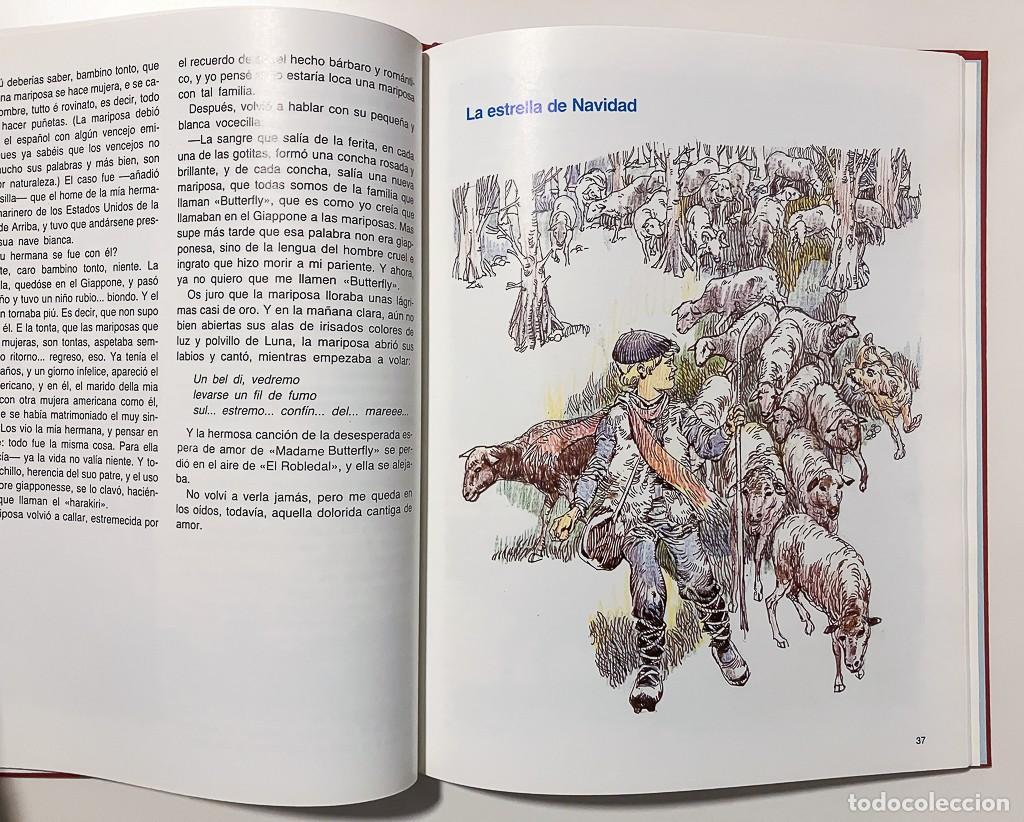Libros de segunda mano: CUENTOS &rdquo;CHICOS&rdquo; - EDITORIAL EVEREST 1983 - Foto 5