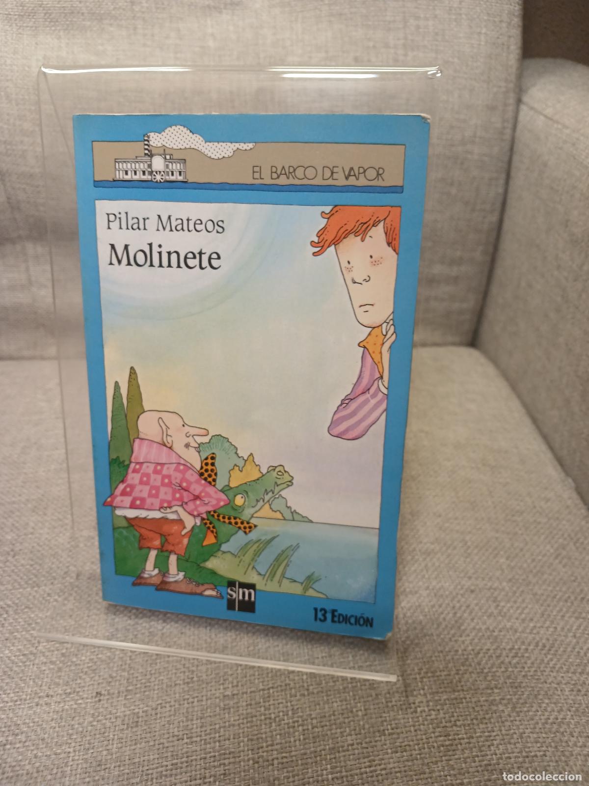 Gebrauchte B&uuml;cher: Molinete - Pilar Mateos