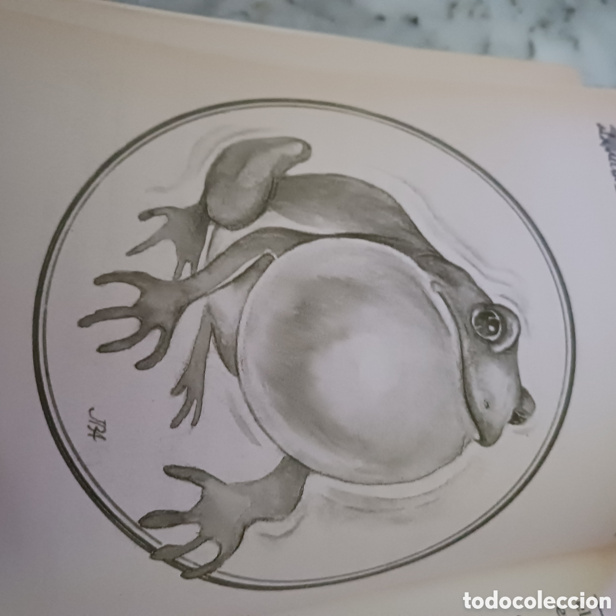 Libros de segunda mano: El llibre dels Animals de Albert Jan&eacute; - Foto 7