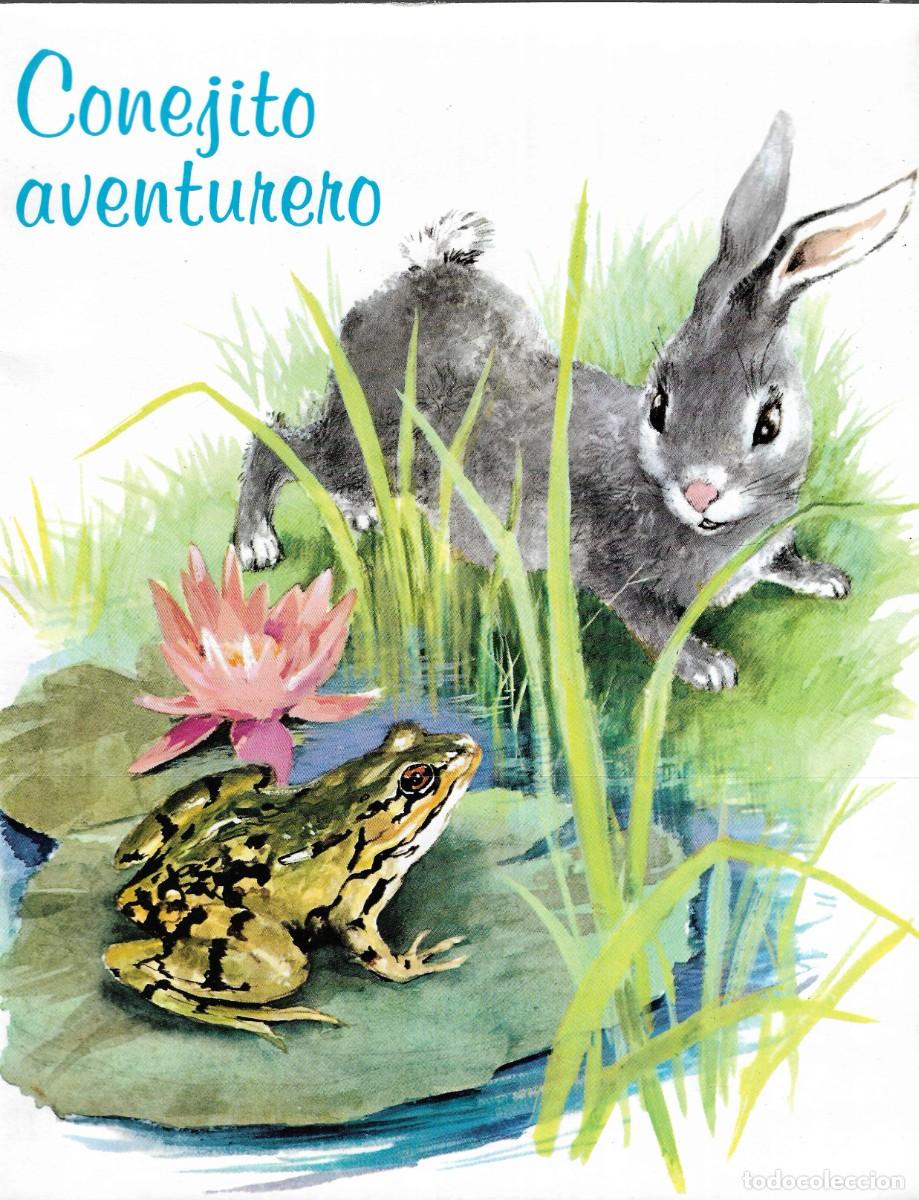 Libros de segunda mano: CONEJITO AVENTURERO - COLECCI&Oacute;N DO-DO N&ordm; 4 - EDICIONES SUSAETA, S.A. - 1973.